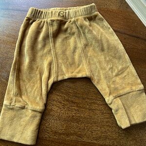 Kate Quinn Velour Jogger Pants